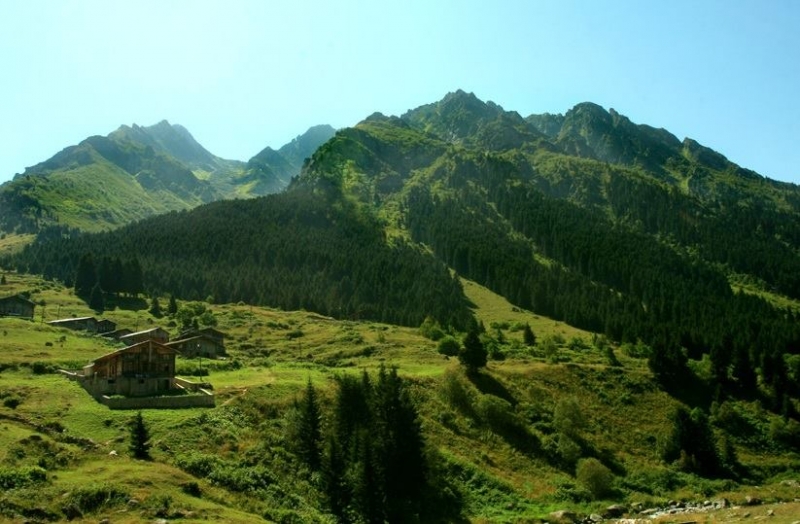Elevit Yaylası