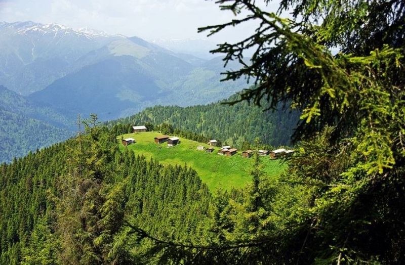 Pokut Yaylası