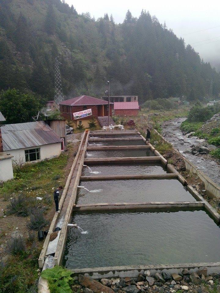 Pazarcık Yaylası