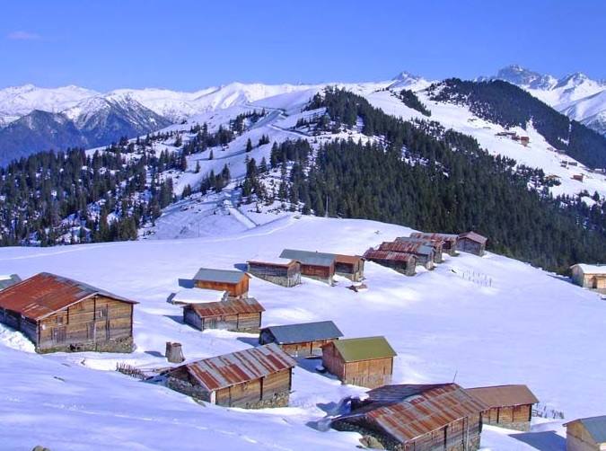 Pokut Yaylası