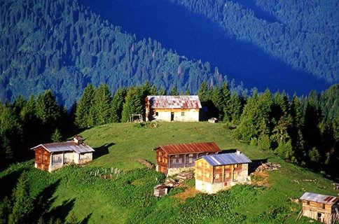 Pokut Yaylası