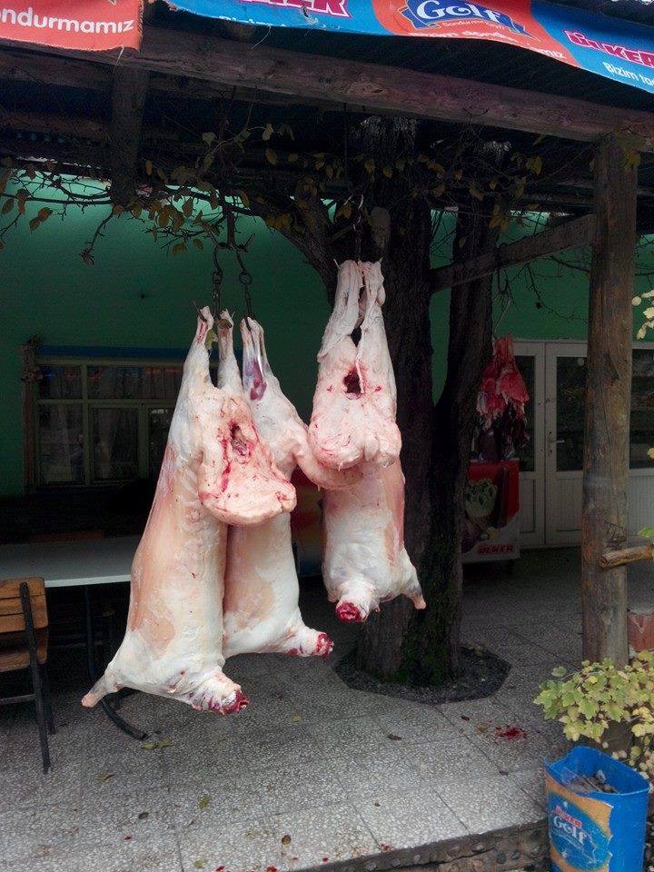Pazarcık Yaylası