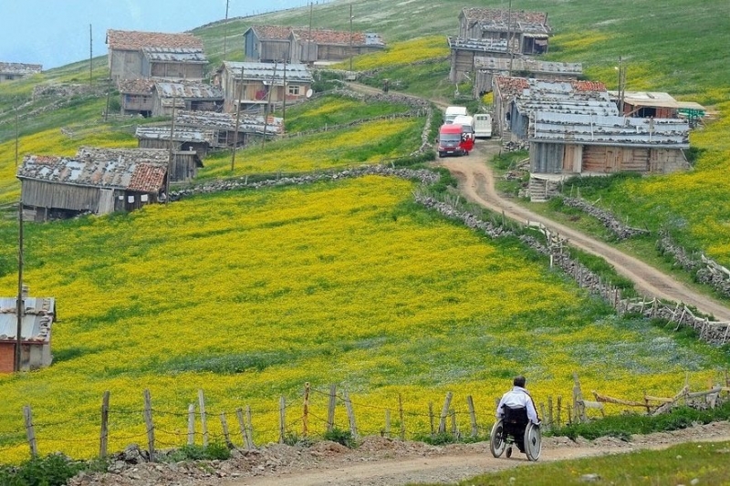 Anzer Yaylası