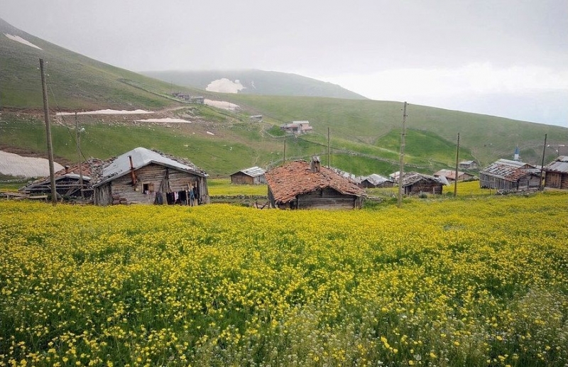 Anzer Yaylası