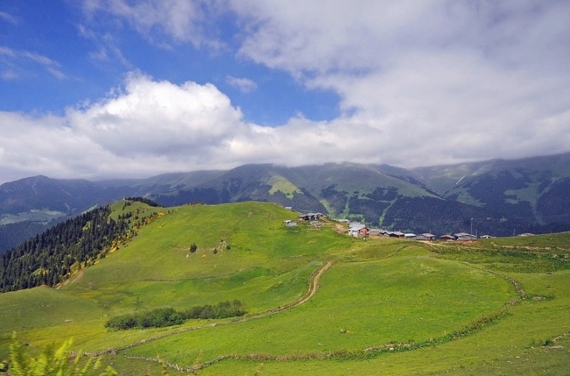 Anzer Yaylası