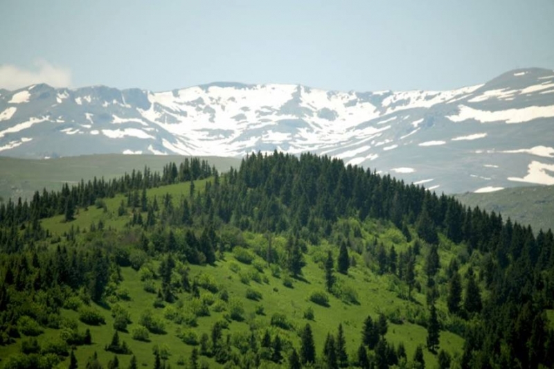 Kümbet Yaylası 