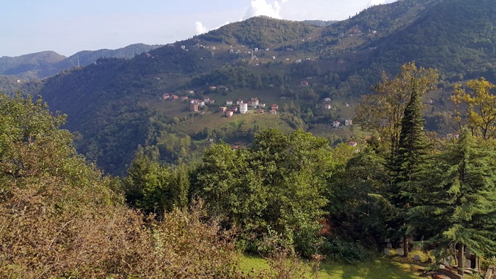 2019’da Araklı Bildiğiniz Gibi!