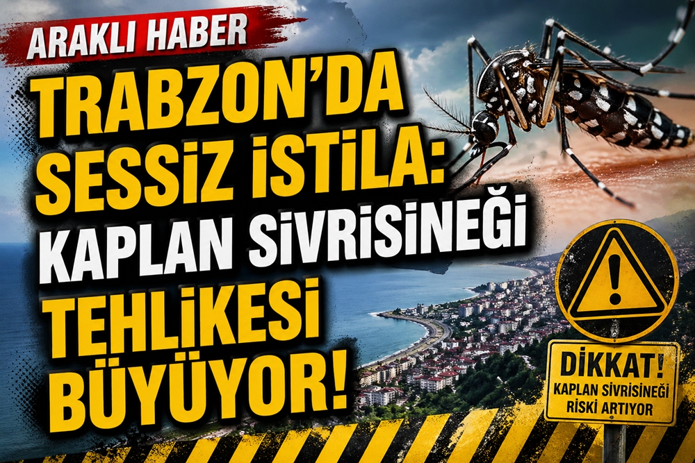 Trabzon’da Sessiz İstila: Kaplan Sivrisineği Tehlikesi Büyüyor!