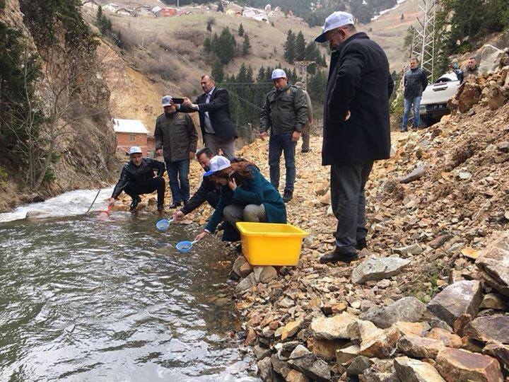 Karadere’ye Kırmızı Pullu Alabalık 