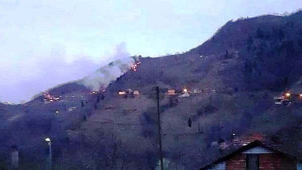 Araklı'daki Orman Yangınları Kontrol Altına Alındı