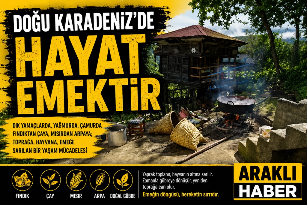 Doğu Karadeniz’de Hayat Emektir