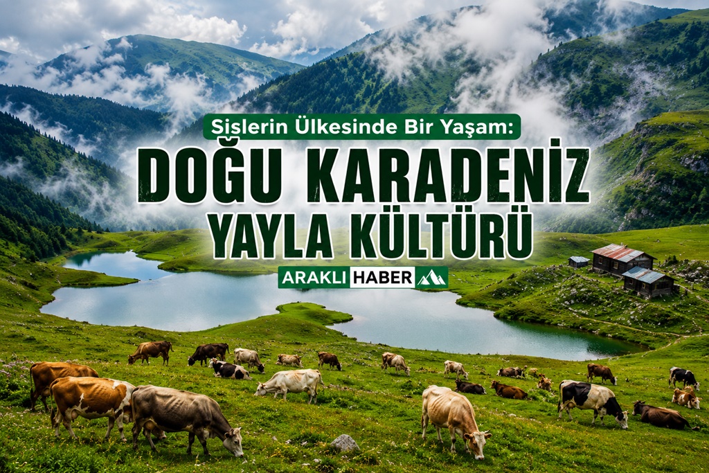 Sislerin Ülkesinde Bir Yaşam: Doğu Karadeniz Yayla Kültürü